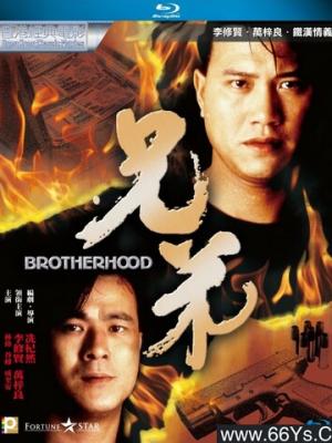 长夜灯火与君书